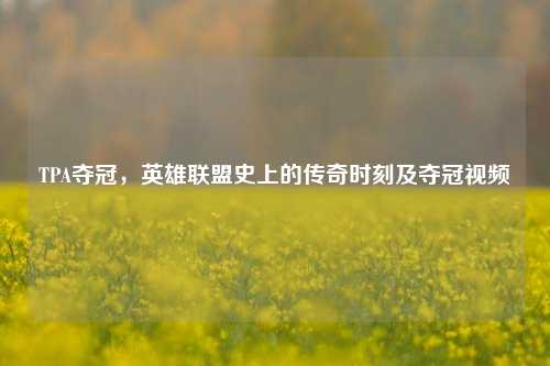 TPA夺冠,英雄联盟史上的传奇时刻及夺冠视频