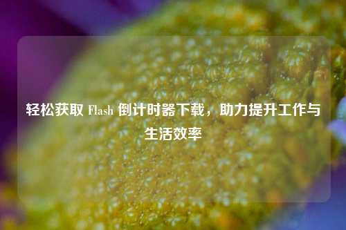 轻松获取 Flash 倒计时器下载,助力提升工作与生活效率