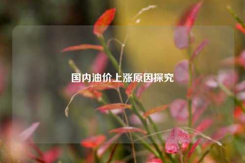 国内油价上涨原因探究