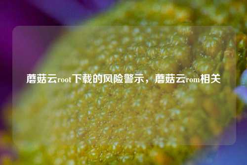 蘑菇云root下载的风险警示,蘑菇云rom相关