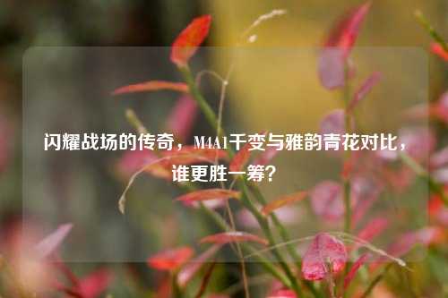 闪耀战场的传奇,M4A1千变与雅韵青花对比,谁更胜一筹?