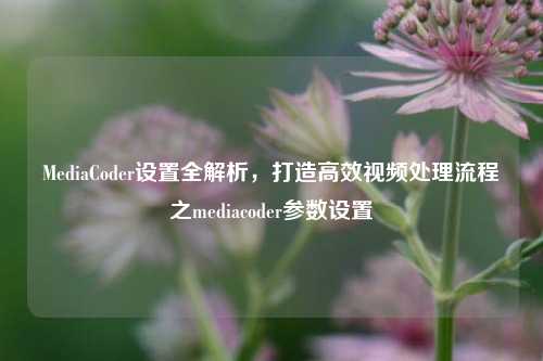 MediaCoder设置全解析,打造高效视频处理流程之mediacoder参数设置