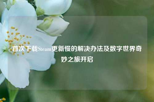 首次下载Steam更新慢的解决办法及数字世界奇妙之旅开启