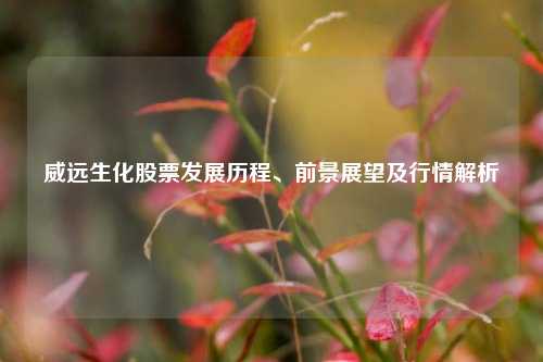 威远生化股票发展历程、前景展望及行情解析
