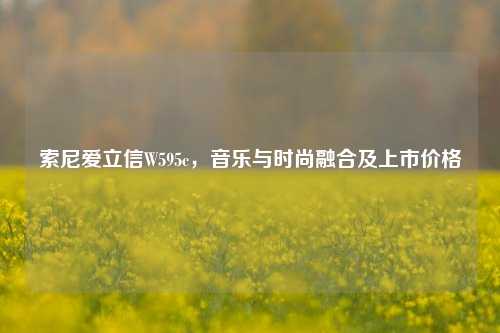索尼爱立信W595c，音乐与时尚融合及上市价格