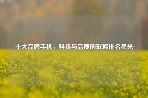 十大品牌手机,科技与品质的璀璨排名星光