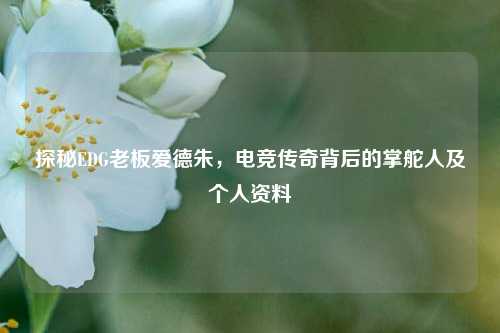 探秘EDG老板爱德朱，电竞传奇背后的掌舵人及个人资料