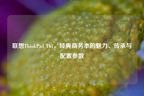 联想ThinkPad T61,经典商务本的魅力、传承与配置参数