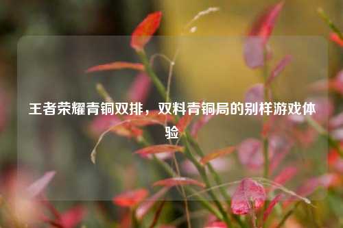 王者荣耀青铜双排,双料青铜局的别样游戏体验