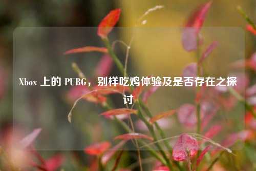Xbox 上的 PUBG，别样吃鸡体验及是否存在之探讨