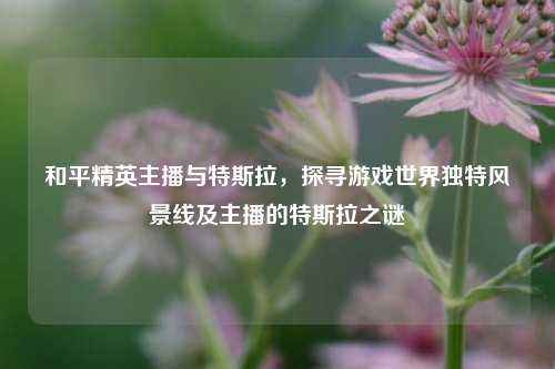 和平精英主播与特斯拉,探寻游戏世界独特风景线及主播的特斯拉之谜