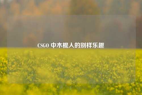 CSGO 中木棍人的别样乐趣