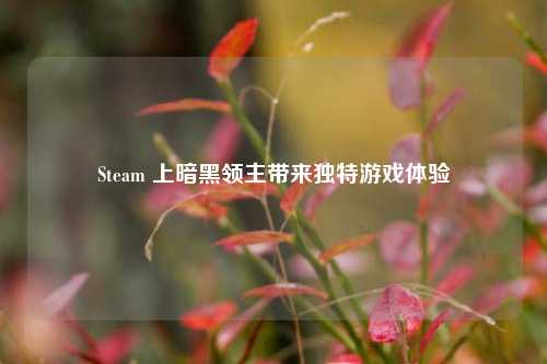 Steam 上暗黑领主带来独特游戏体验