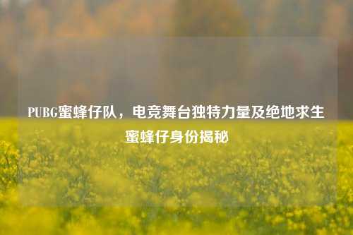 PUBG蜜蜂仔队,电竞舞台独特力量及绝地求生蜜蜂仔身份揭秘