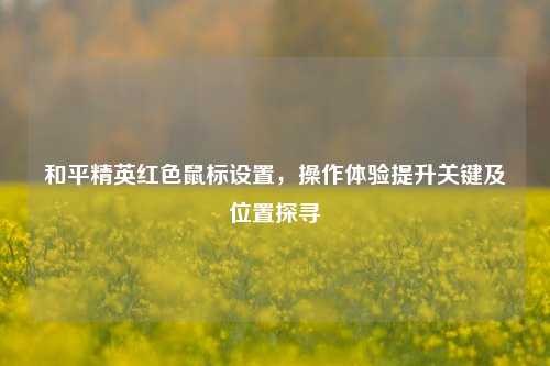 和平精英红色鼠标设置,操作体验提升关键及位置探寻