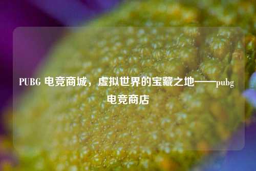 PUBG 电竞商城,虚拟世界的宝藏之地——pubg 电竞商店