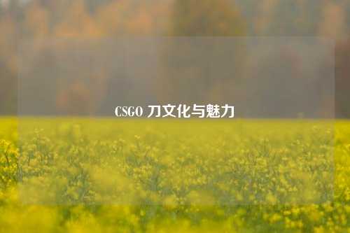 CSGO 刀文化与魅力