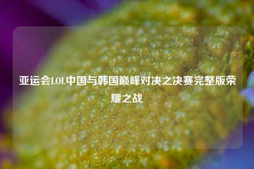 亚运会LOL中国与韩国巅峰对决之决赛完整版荣耀之战