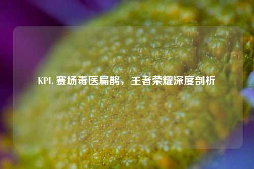 KPL 赛场毒医扁鹊，王者荣耀深度剖析