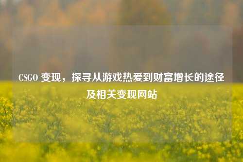 CSGO 变现，探寻从游戏热爱到财富增长的途径及相关变现网站