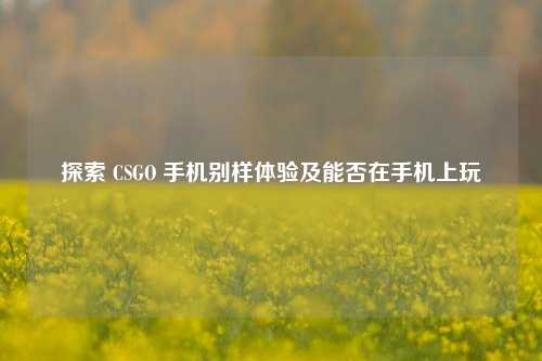 探索 CSGO 手机别样体验及能否在手机上玩
