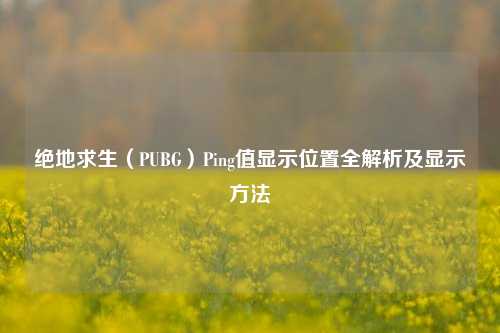 绝地求生(PUBG)Ping值显示位置全解析及显示方法