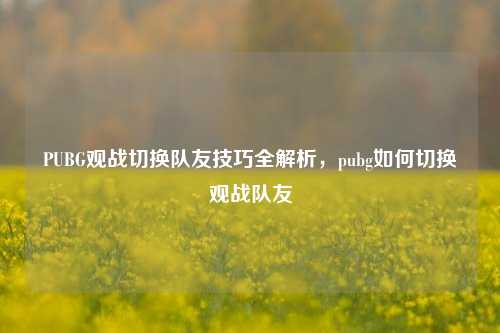PUBG观战切换队友技巧全解析,pubg如何切换观战队友