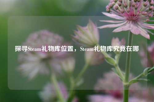 探寻Steam礼物库位置,Steam礼物库究竟在哪
