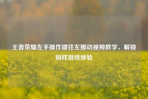 王者荣耀左手操作键往左挪动视频教学,解锁别样游戏体验