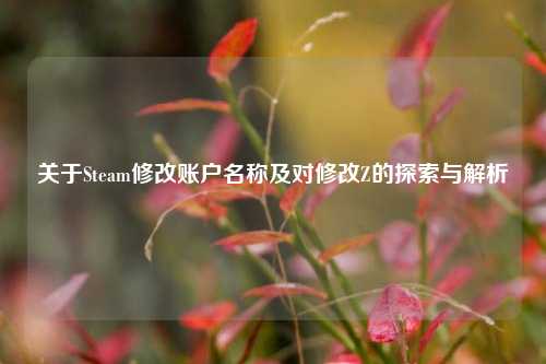 关于Steam修改账户名称及对修改Z的探索与解析