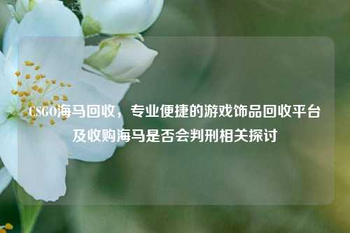 CSGO海马回收,专业便捷的游戏饰品回收平台及收购海马是否会判刑相关探讨
