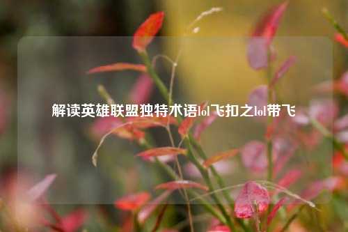 解读英雄联盟独特术语lol飞扣之lol带飞