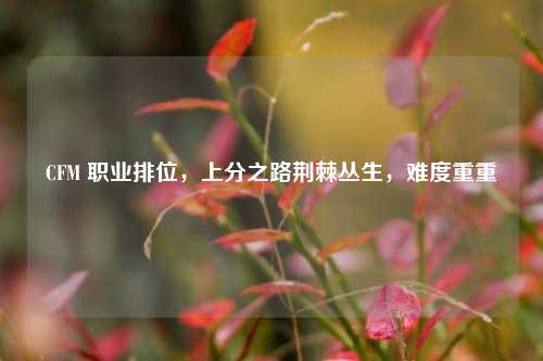 CFM 职业排位,上分之路荆棘丛生,难度重重