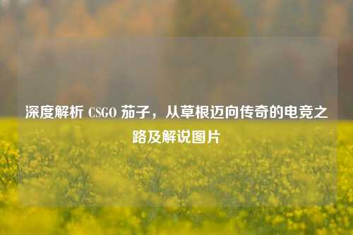 深度解析 CSGO 茄子，从草根迈向传奇的电竞之路及解说图片