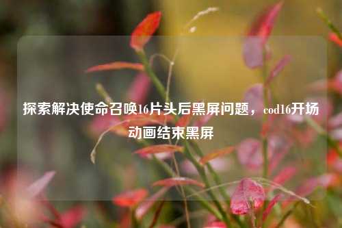探索解决使命召唤16片头后黑屏问题，cod16开场动画结束黑屏