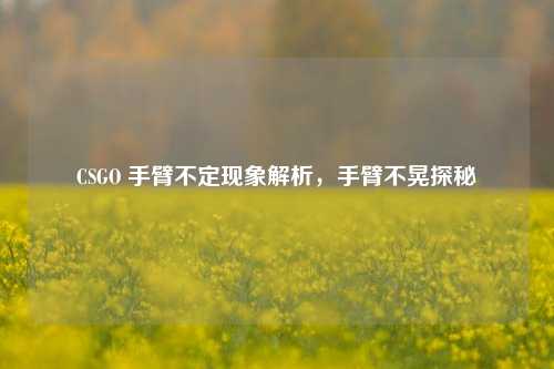 CSGO 手臂不定现象解析，手臂不晃探秘