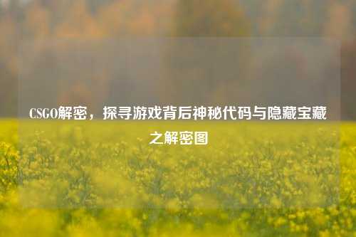 CSGO解密,探寻游戏背后神秘代码与隐藏宝藏之解密图