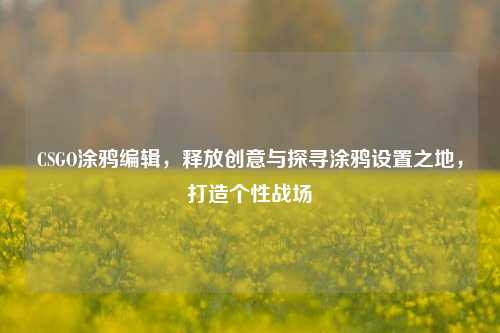 CSGO涂鸦编辑,释放创意与探寻涂鸦设置之地,打造个性战场