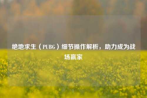 绝地求生(PUBG)细节操作解析,助力成为战场赢家