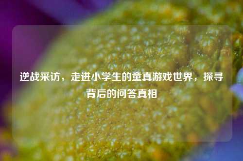 逆战采访,走进小学生的童真游戏世界,探寻背后的问答真相