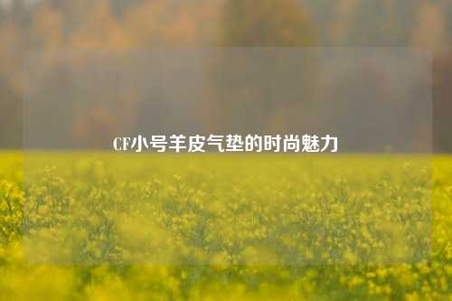 CF小号羊皮气垫的时尚魅力