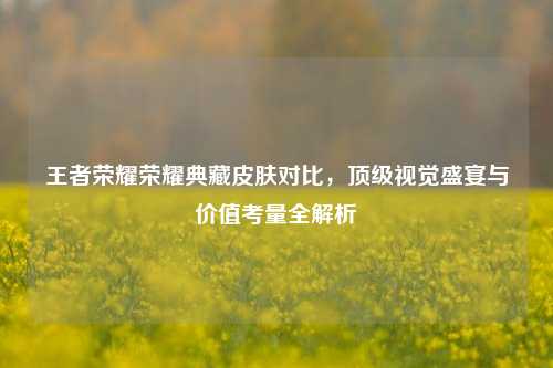 王者荣耀荣耀典藏皮肤对比,顶级视觉盛宴与价值考量全解析