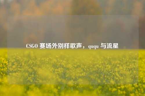 CSGO 赛场外别样歌声,ququ 与流星