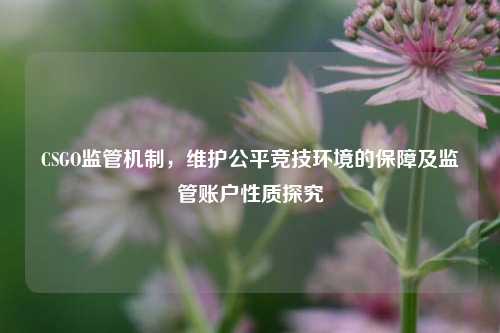 CSGO监管机制，维护公平竞技环境的保障及监管账户性质探究