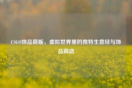 CSGO饰品商贩，虚拟世界里的独特生意经与饰品商店