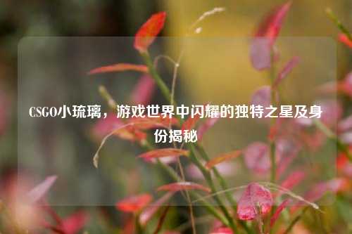 CSGO小琉璃，游戏世界中闪耀的独特之星及身份揭秘