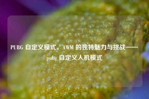 PUBG 自定义模式,AWM 的独特魅力与挑战——pubg 自定义人机模式