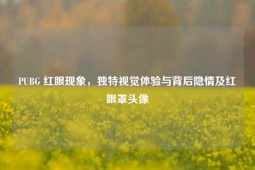 PUBG 红眼现象,独特视觉体验与背后隐情及红眼罩头像