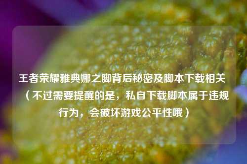 王者荣耀雅典娜之脚背后秘密及脚本下载相关 (不过需要提醒的是,私自下载脚本属于违规行为,会破坏游戏公平性哦)