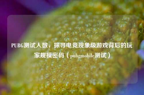 PUBG测试人数,探寻电竞现象级游戏背后的玩家规模密码(pubgmobile测试)